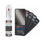 DAF TRUCKS E0183MEGY LUIJKS EN LAMEI GRIJS — 20Ml Touch Up