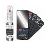 FIAT LANCIA VR-313/C GREY SFRENATO MATT — 20Ml Touch Up