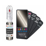 FIAT LANCIA 201B TITANIUM FLASH — 20Ml Touch Up