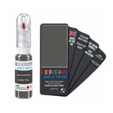 CHRYSLER RJL DARK SILVER FERN — 20Ml Touch Up