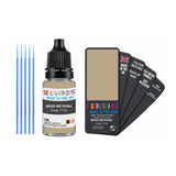 FIAT LANCIA 711A BEIGE METEORA — 10Ml Touch Up
