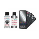 FORD 300000 LIGHT GUNMETAL GREY — 30Ml Touch Up Primer