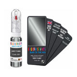 FIAT LANCIA 691 GREY FUMO — 20Ml Touch Up
