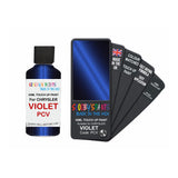 CHRYSLER PCV VIOLET — 30Ml Touch Up