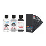 DACIA BU0810 ALIANCE BLACK — 30Ml Touch Up Primer Lacquer