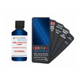 DAF TRUCKS CE338MEBL SIGVARTSEN TRAN BLUE — 30Ml Touch Up