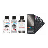 DAF TRUCKS E0183MEGY LUIJKS EN LAMEI GRIJS — 30Ml Touch Up Primer Lacquer