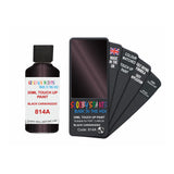 FIAT LANCIA 814A BLACK CARAVAGGIO — 30Ml Touch Up