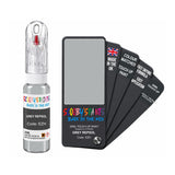 CITROEN EZH GREY REPSOL — 20Ml Touch Up