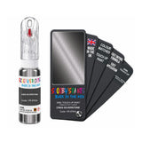 FIAT LANCIA VR-979/A CINZA SILVERSTONE — 20Ml Touch Up