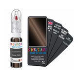 AUDI D8S TAMARIND BROWN — 20Ml Touch Up
