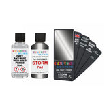 CHRYSLER PAJ STORM — 30Ml Touch Up Primer