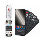FORD EMZ MONUMENT — 20Ml Touch Up