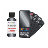 ASTON MARTIN AM6069 XENON GREY — 30Ml Touch Up