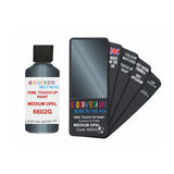 FORD 6602G MEDIUM OPAL — 30Ml Touch Up