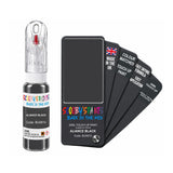 DACIA BU0810 ALIANCE BLACK — 20Ml Touch Up