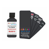 DACIA BU0810 ALIANCE BLACK — 30Ml Touch Up