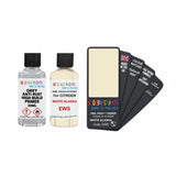 CITROEN EWS WHITE ALASKA — 30Ml Touch Up Primer