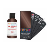 DODGE 1H CHESTNUT BROWN — 30Ml Touch Up