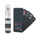 FORD N9 AMAZON VAN GREY FLEET — 20Ml Touch Up