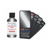 FORD 300000 LIGHT GUNMETAL GREY — 30Ml Touch Up