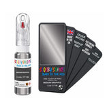 FORD DT196 MEDIUM GRAPHITE — 20Ml Touch Up