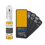 CHRYSLER P67 BROOM YELLOW — 20Ml Touch Up