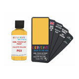 DODGE P03 CALCITE YELLOW — 30Ml Touch Up