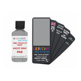 DODGE PAB ASCOT GRAY — 30Ml Touch Up