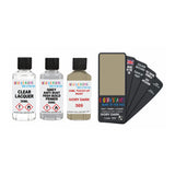 FIAT LANCIA 569 IVORY DARK — 30Ml Touch Up Primer Lacquer