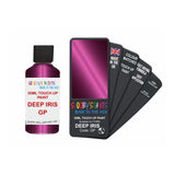 FORD GP DEEP IRIS — 30Ml Touch Up