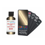 FORD BCW CINZA NEGUEV — 30Ml Touch Up