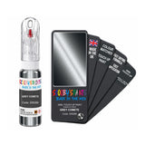 DACIA 205289 GREY COMETE — 20Ml Touch Up