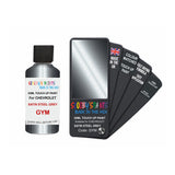 CHEVROLET GYM SATIN STEEL GREY — 30Ml Touch Up