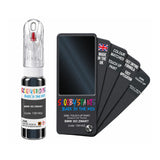 DAF TRUCKS 1391402 BMW 303 ZWART — 20Ml Touch Up