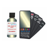 DAF TRUCKS CE448MESI BESTANDSPAKET SILVER — 30Ml Touch Up