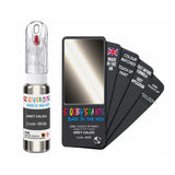 FIAT LANCIA 865B GREY CALDO — 20Ml Touch Up