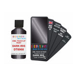 DODGE DT8968 DARK IRIS — 30Ml Touch Up