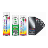 CITROEN KNG GREY GALAXITE — Basecoat Aerosol Primer Lacquer