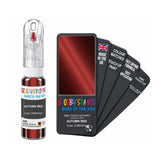 FORD CD8EWHA AUTUMN RED — 20Ml Touch Up