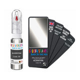 CHRYSLER S5 SILVERSTONE — 20Ml Touch Up