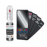 FIAT LANCIA VR209/B GREY OPACO — 20Ml Touch Up