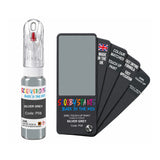 DODGE P08 SILVER GREY — 20Ml Touch Up
