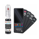 CHRYSLER 876B CARBON BLACK — 20Ml Touch Up