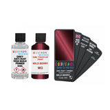 DODGE MG WILD BERRY — 30Ml Touch Up Primer
