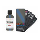 CITROEN ESC LAQUERED GREY — 30Ml Touch Up