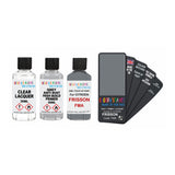 CITROEN FMA FRISSON — 30Ml Touch Up Primer Lacquer