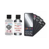 DAF TRUCKS CC282 AMAK GREY MET — 30Ml Touch Up Primer
