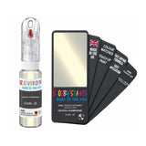 FORD JZ CRYSTAL CHAMPAGNE — 20Ml Touch Up