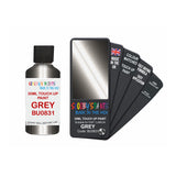FIAT LANCIA BU0831 GREY — 30Ml Touch Up